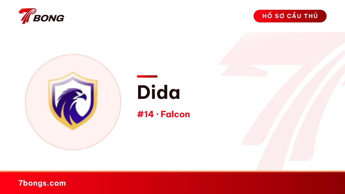 Dida — Falcon