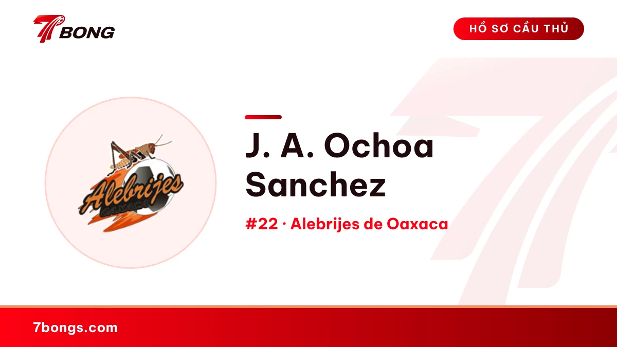 J. A. Ochoa Sanchez — Alebrijes de Oaxaca