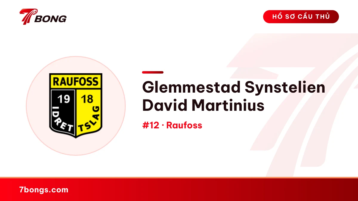 Glemmestad Synstelien David Martinius — Raufoss