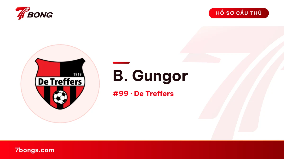 B. Gungor — De Treffers