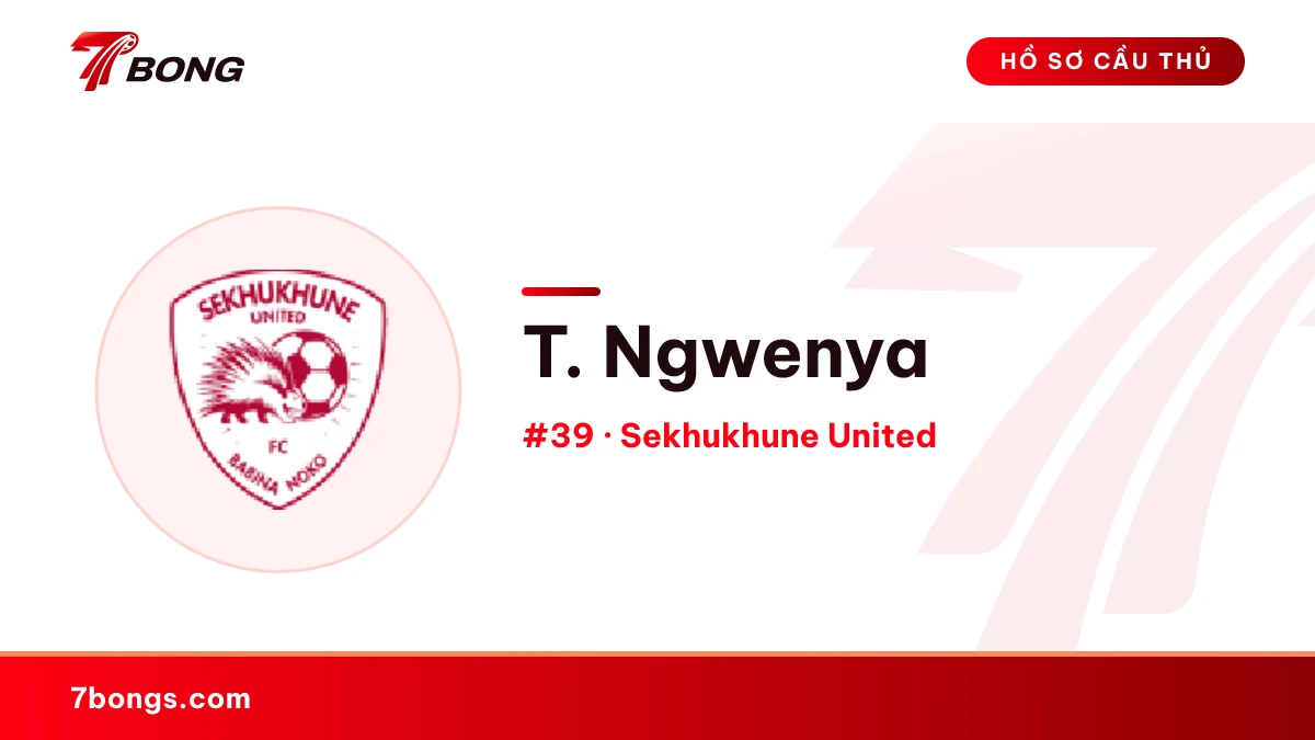 T. Ngwenya — Sekhukhune United