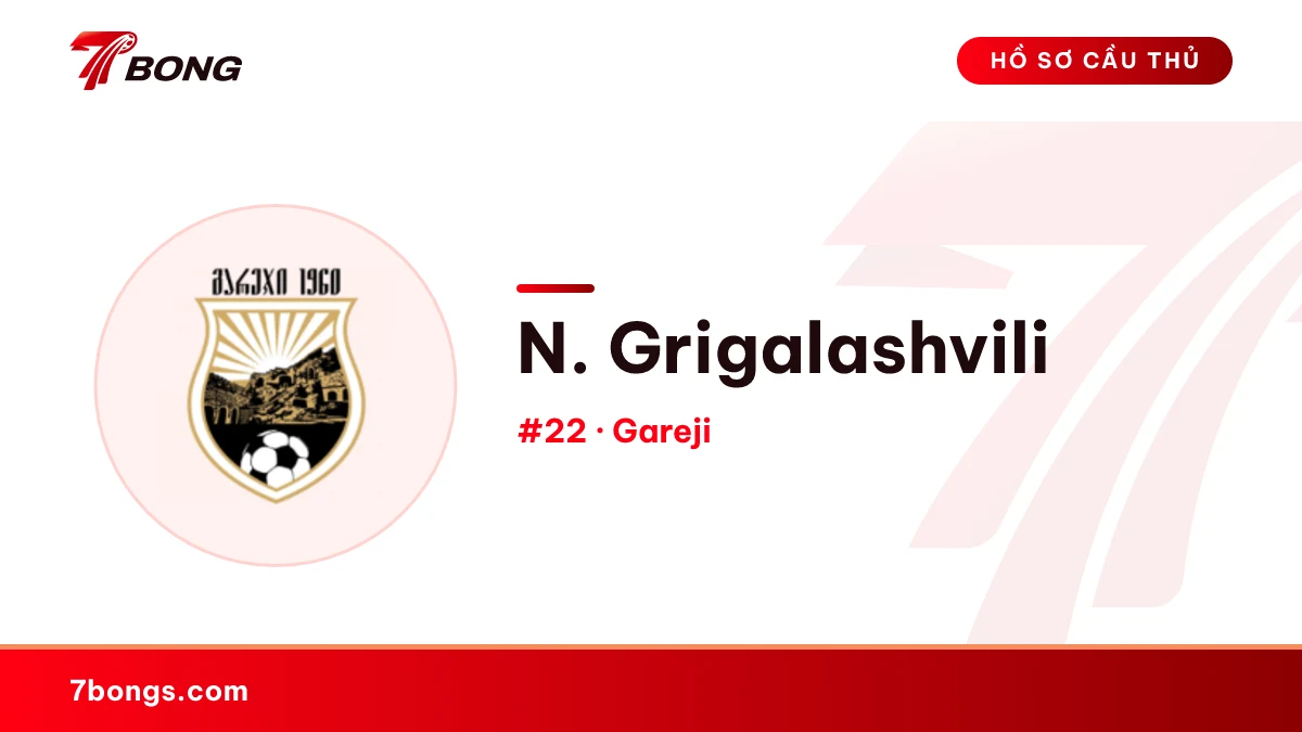 N. Grigalashvili — Gareji