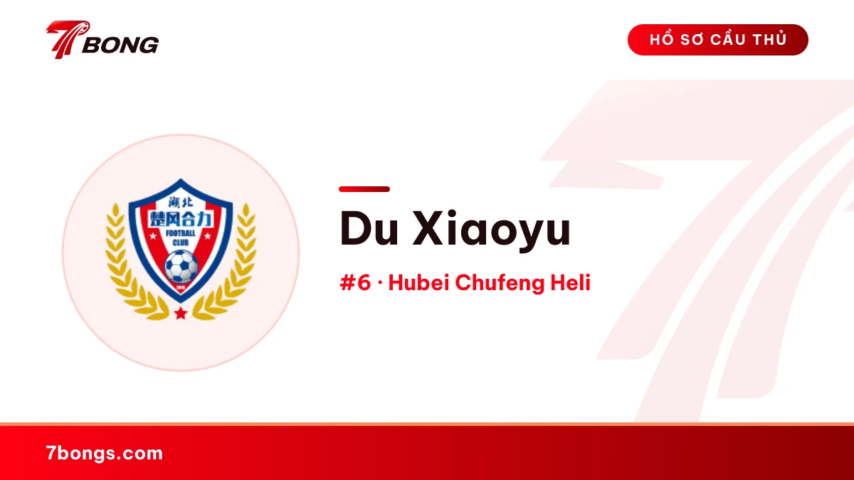 Du Xiaoyu — Hubei Chufeng Heli