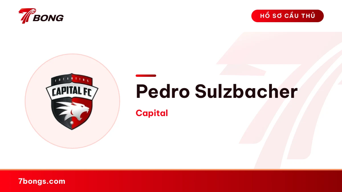 Pedro Sulzbacher — Capital