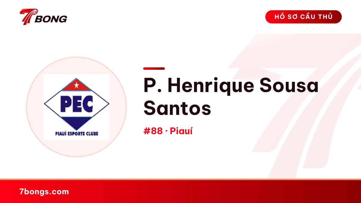 P. Henrique Sousa Santos — Piauí