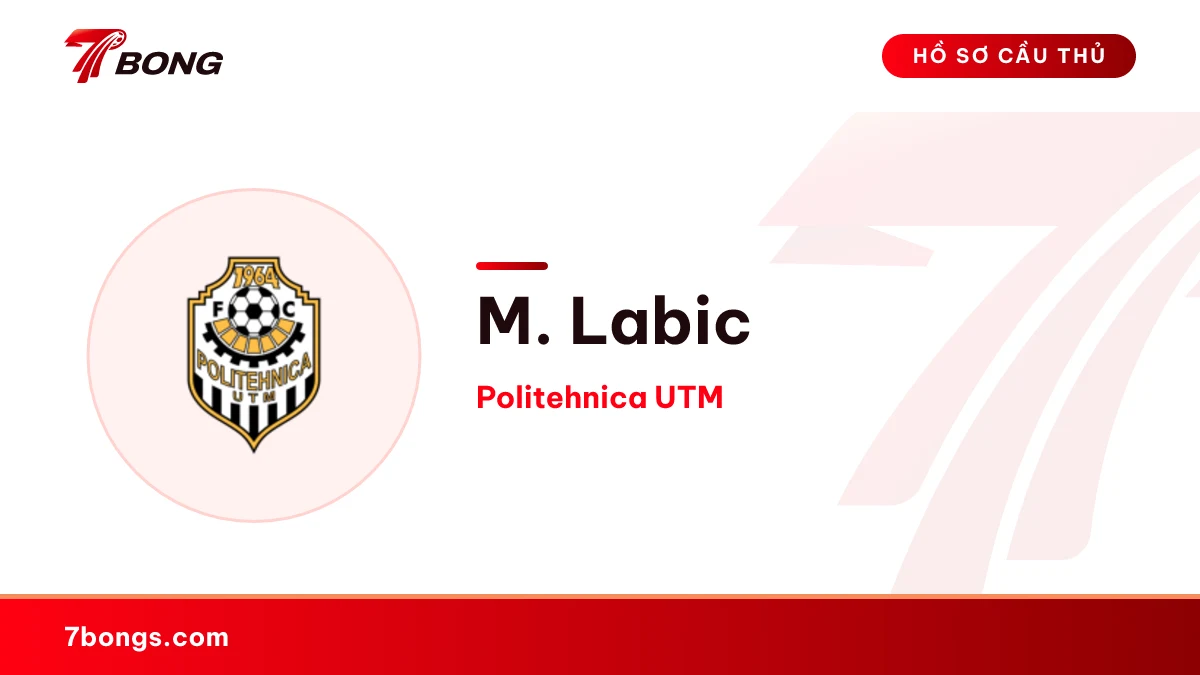 M. Labic — Politehnica UTM