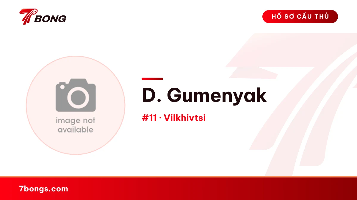 D. Gumenyak — Vilkhivtsi