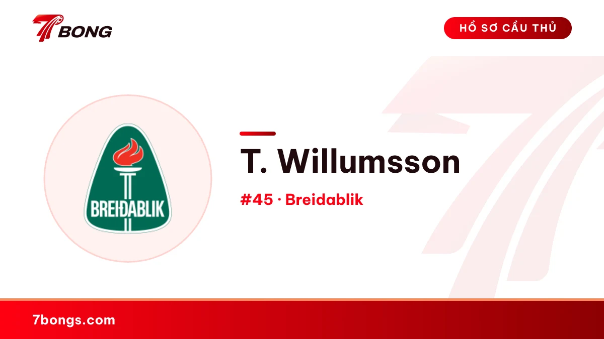 T. Willumsson — Breidablik
