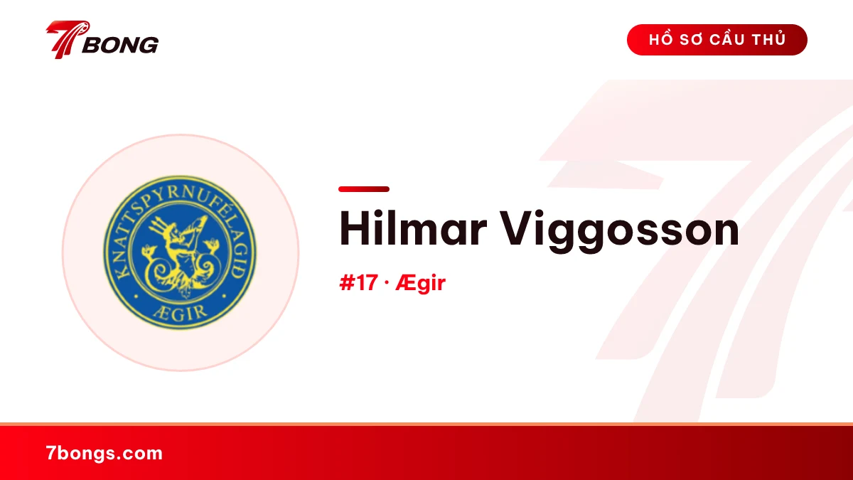 Hilmar Viggosson — Ægir