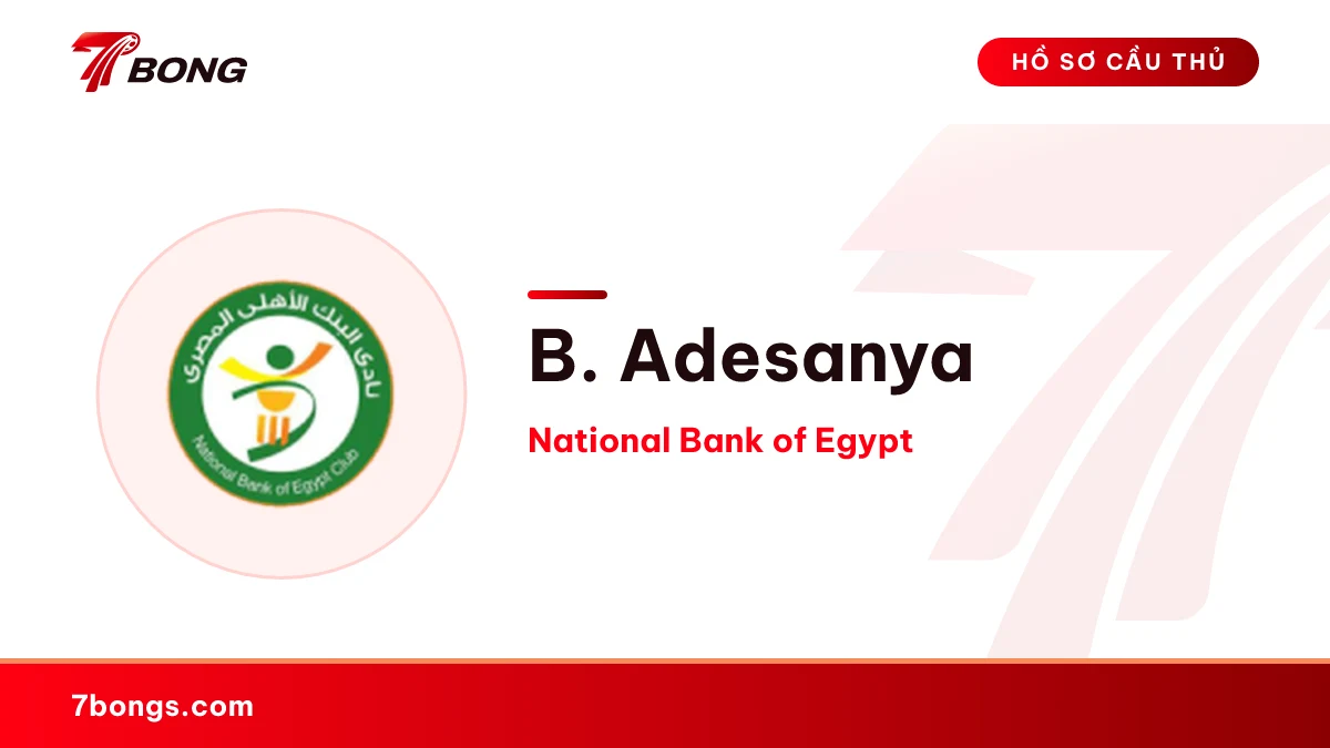 B. Adesanya — National Bank of Egypt