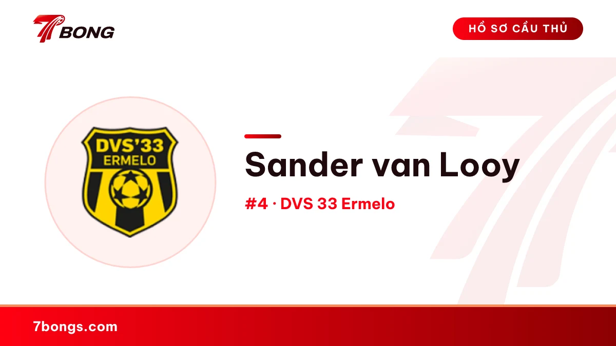 Sander van Looy — DVS 33 Ermelo