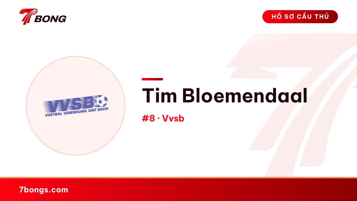 Tim Bloemendaal — Vvsb