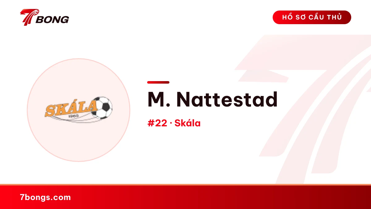 M. Nattestad — Skála