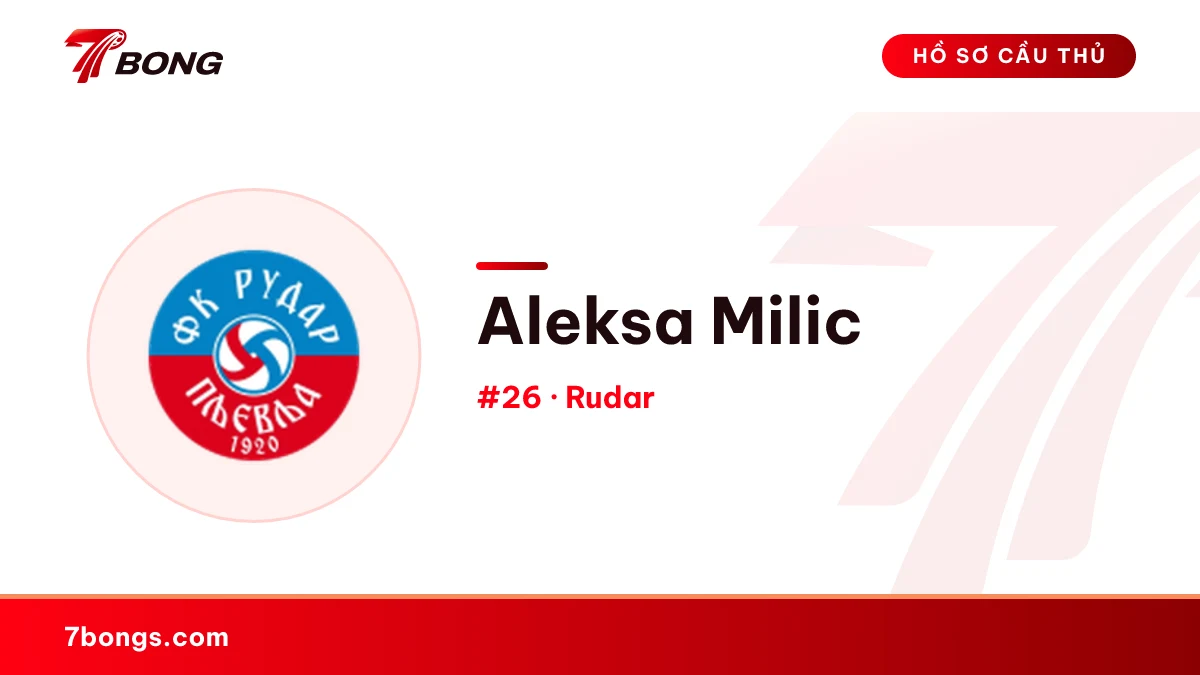 Aleksa Milic — Rudar
