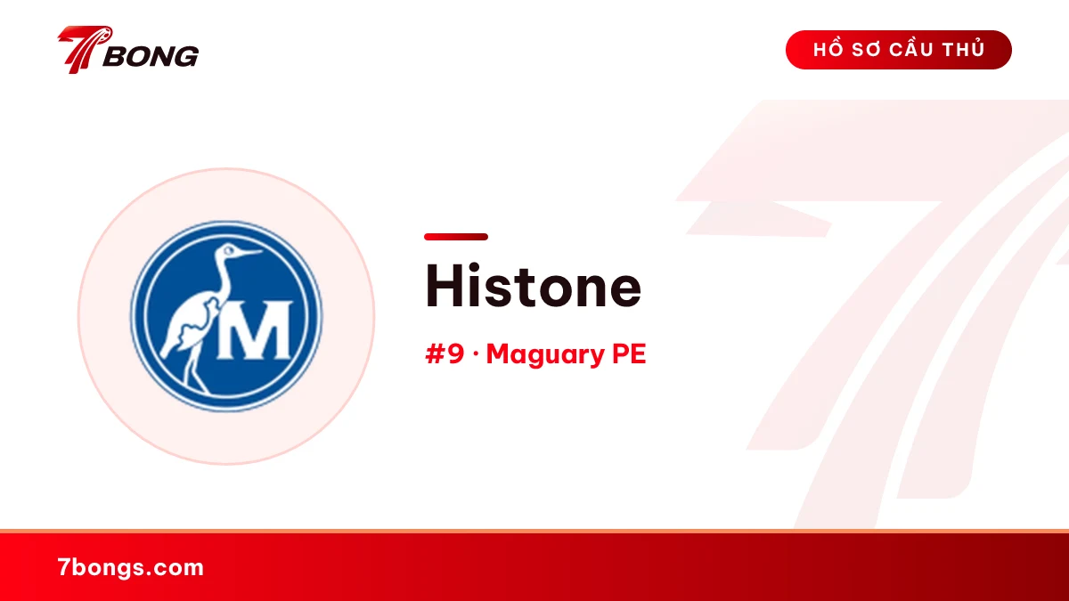 Histone — Maguary PE