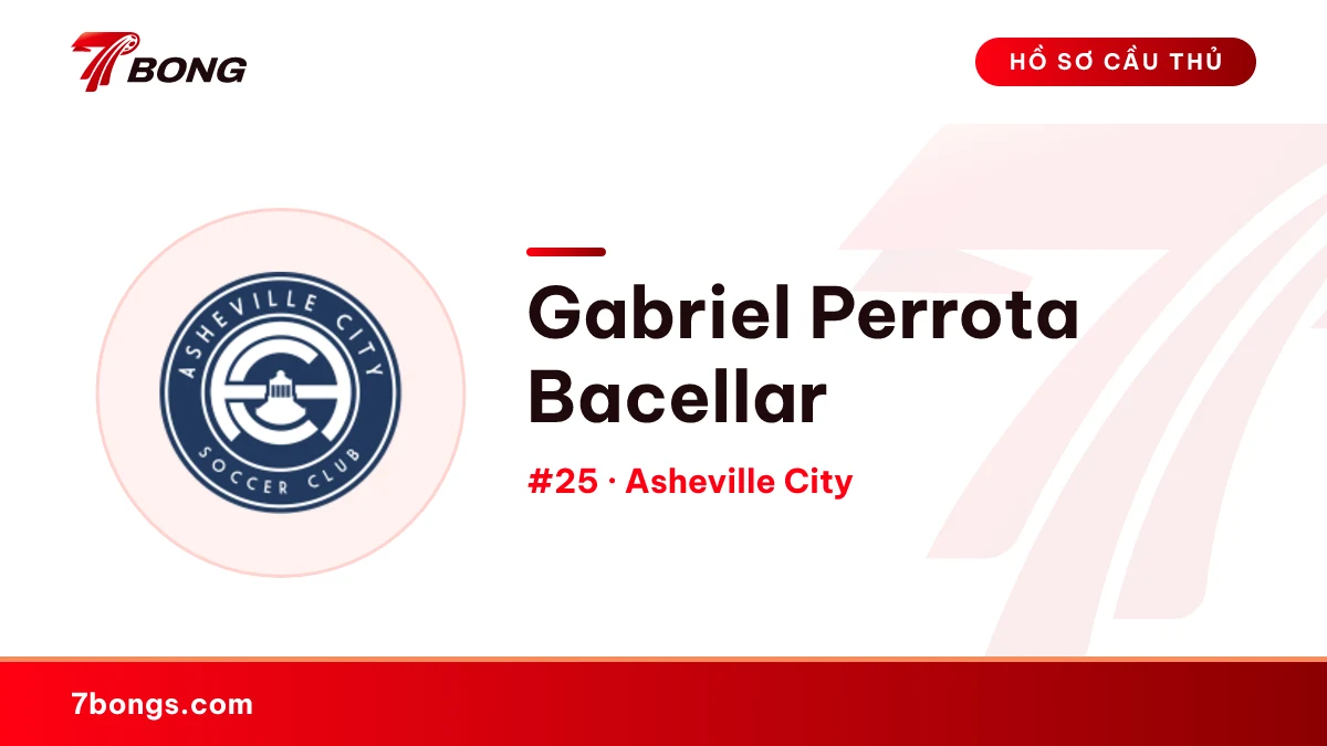 Gabriel Perrota Bacellar — Asheville City