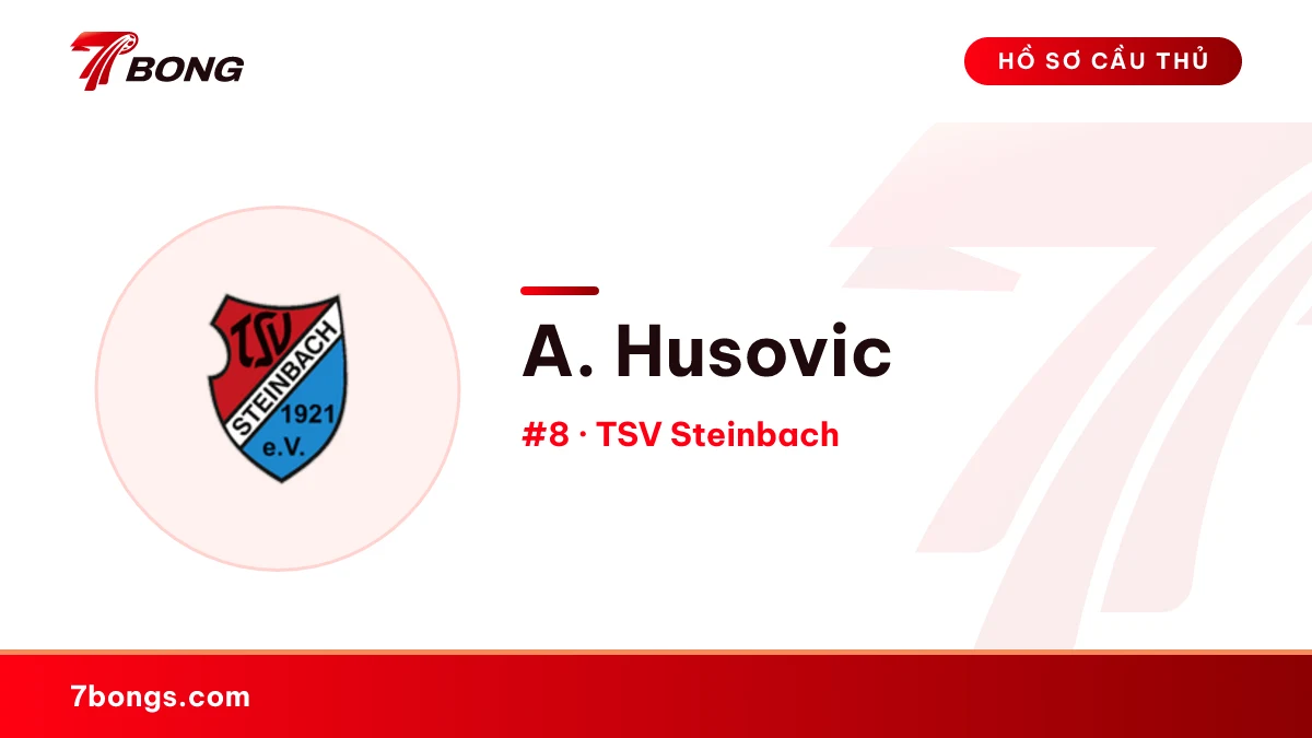 A. Husovic — TSV Steinbach