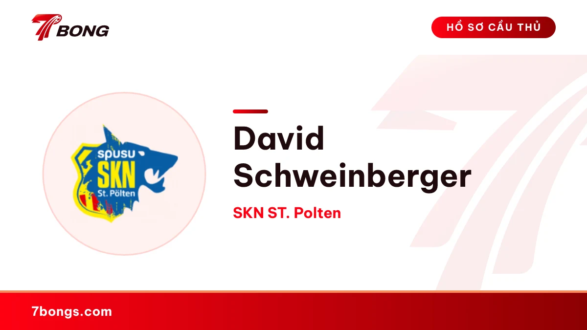 David Schweinberger — SKN ST. Polten