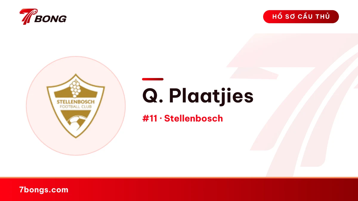 Q. Plaatjies — Stellenbosch