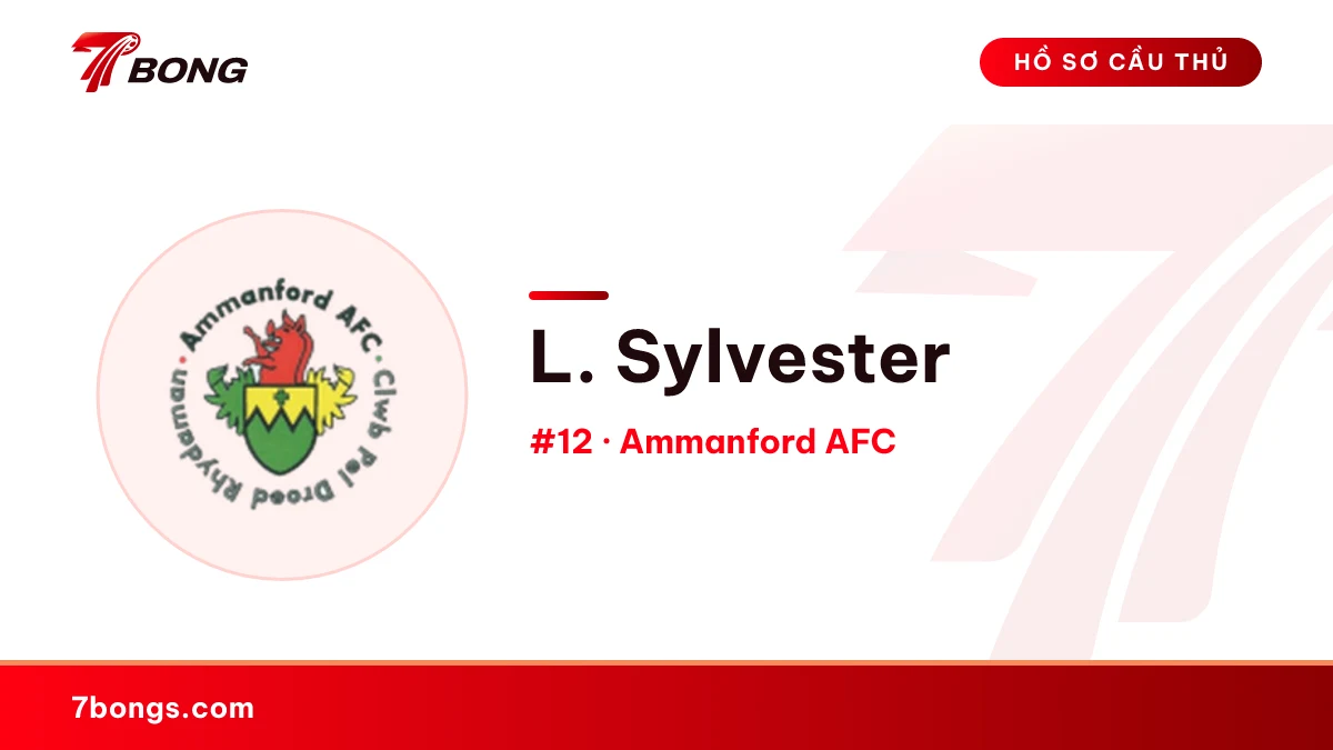 L. Sylvester — Ammanford AFC