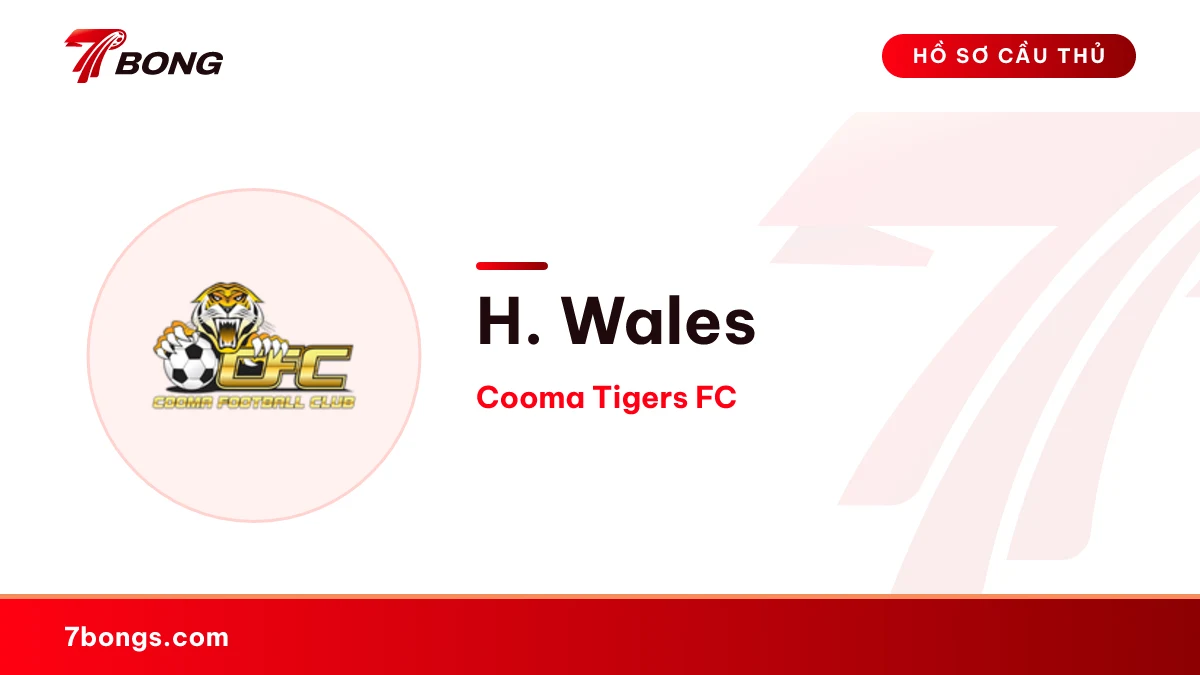 H. Wales — Cooma Tigers FC