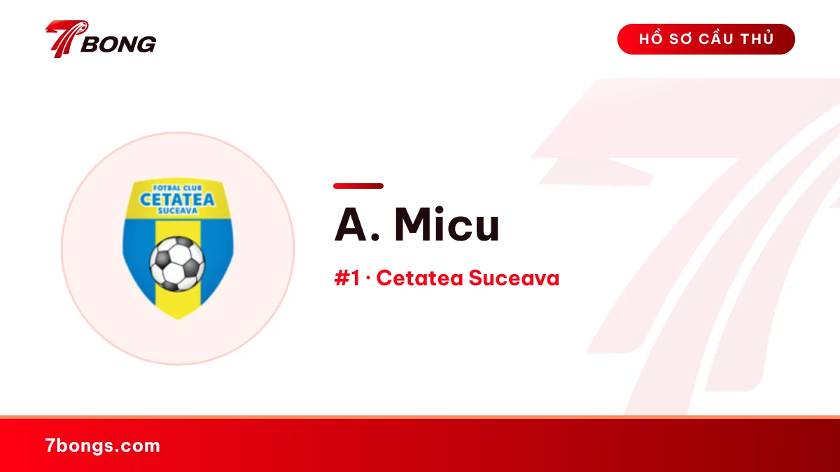 A. Micu — Cetatea Suceava