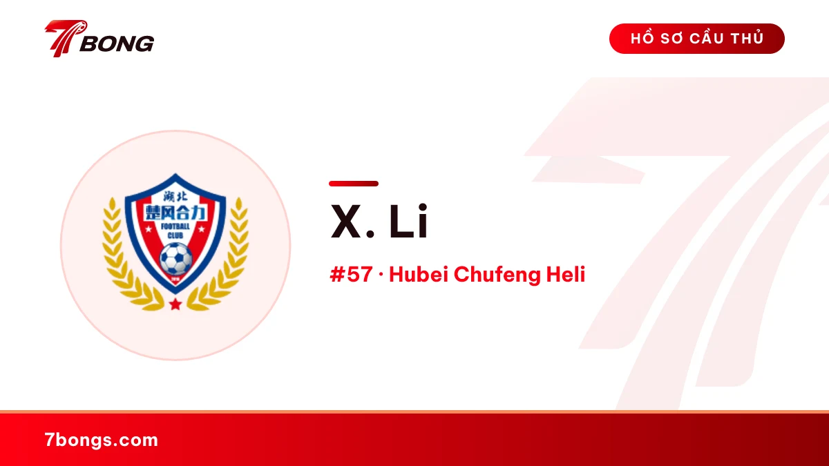X. Li — Hubei Chufeng Heli