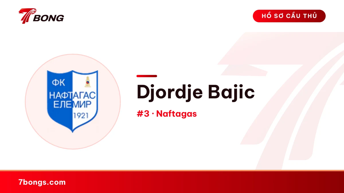 Djordje Bajic — Naftagas