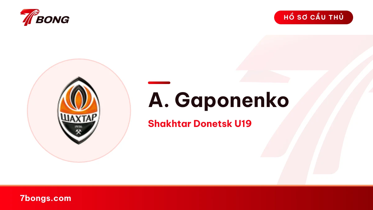 A. Gaponenko — Shakhtar Donetsk U19