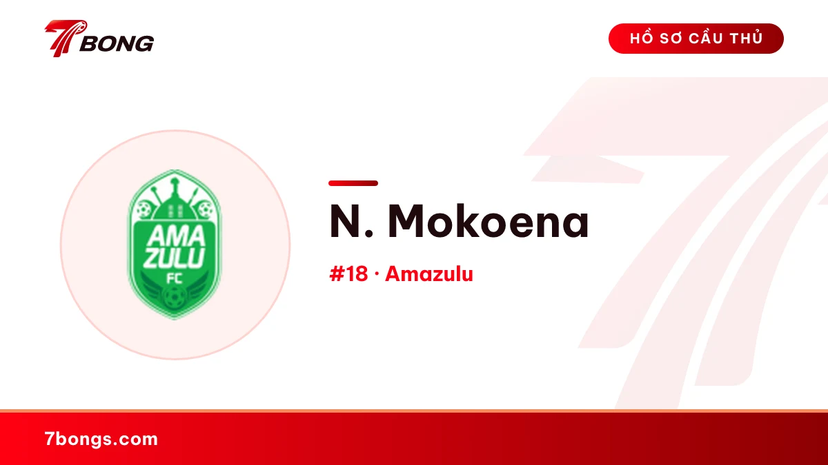 N. Mokoena — Amazulu