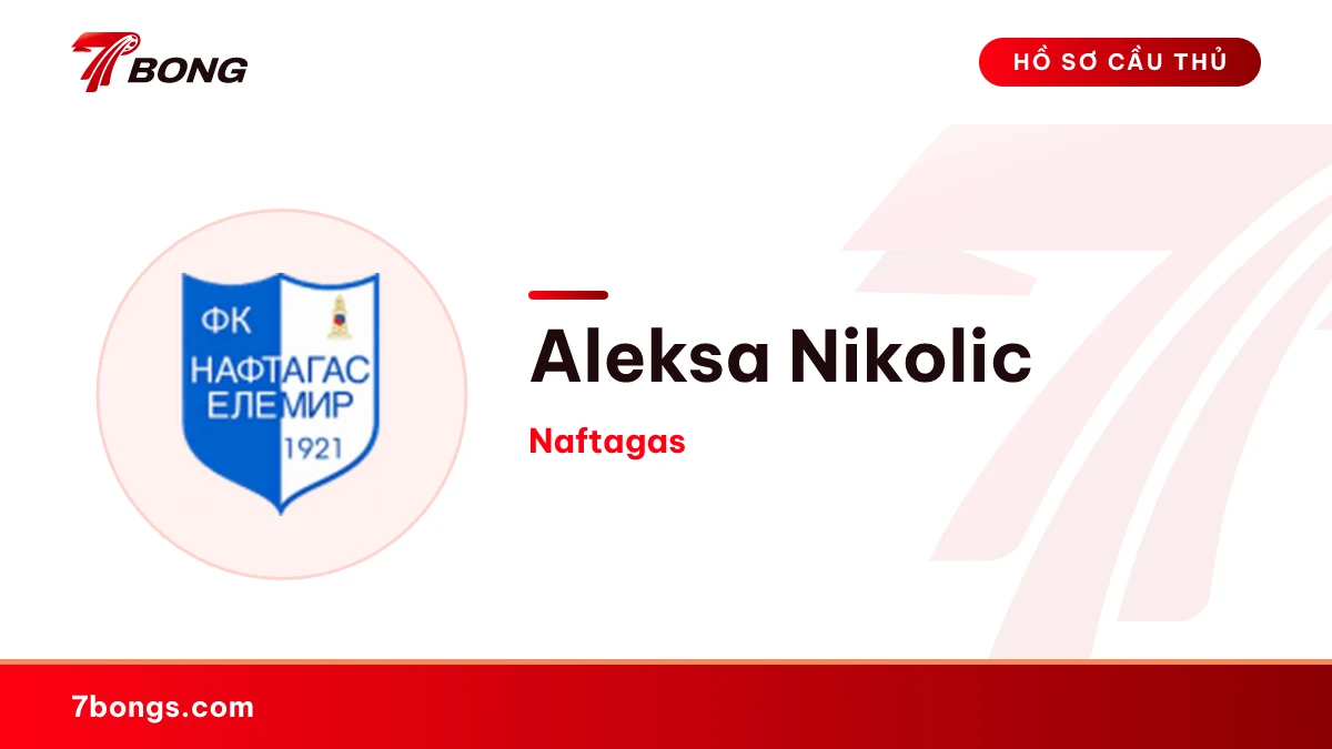 Aleksa Nikolic — Naftagas