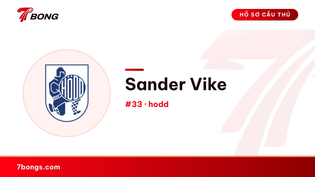 Sander Vike — hodd