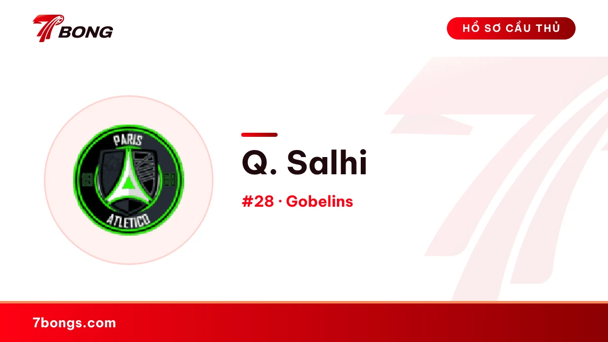 Q. Salhi — Gobelins