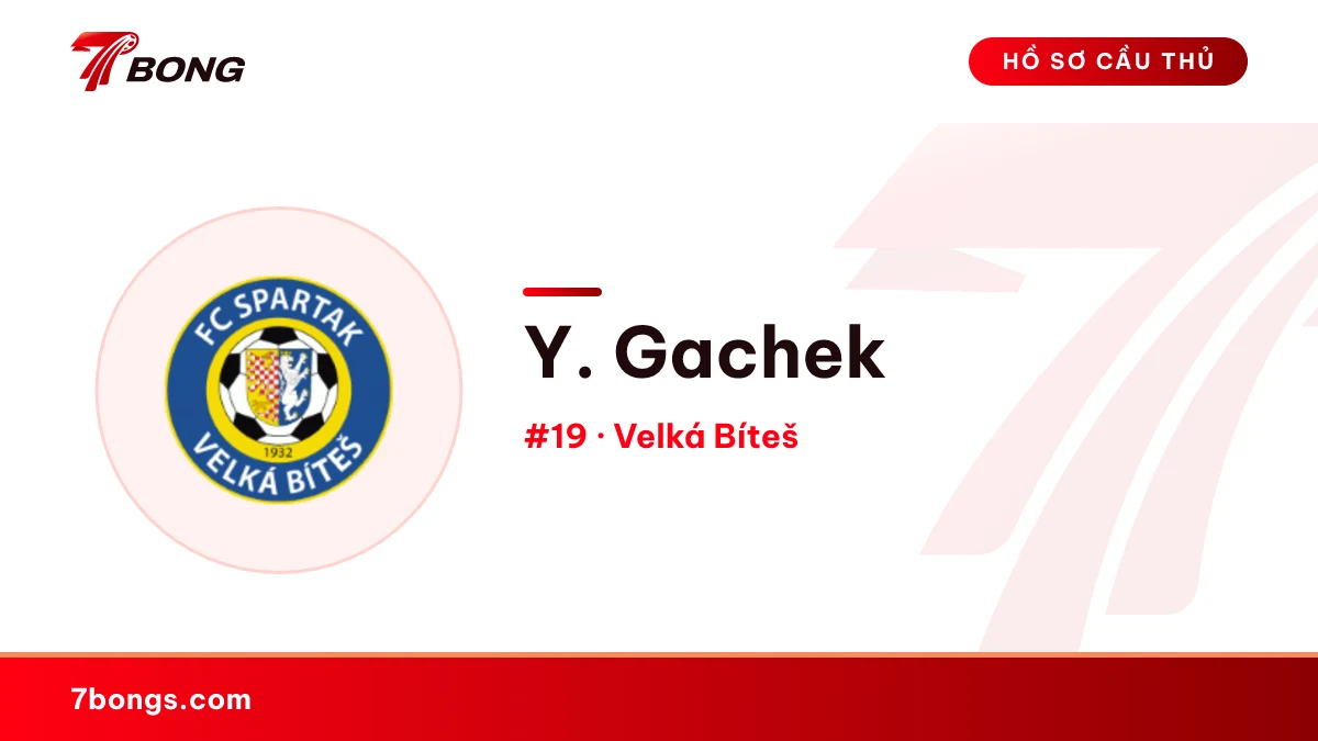 Y. Gachek — Velká Bíteš