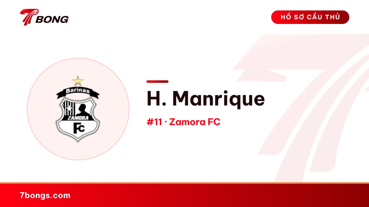 H. Manrique — Zamora FC