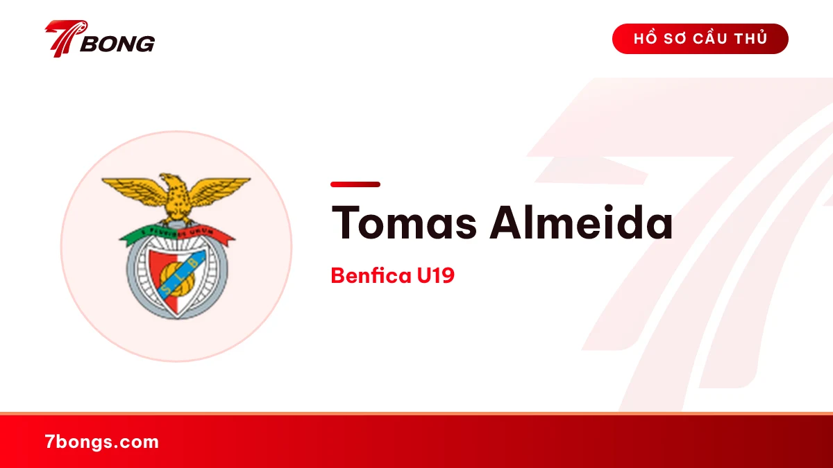 Tomas Almeida — Benfica U19