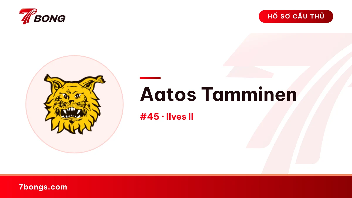 Aatos Tamminen — Ilves II