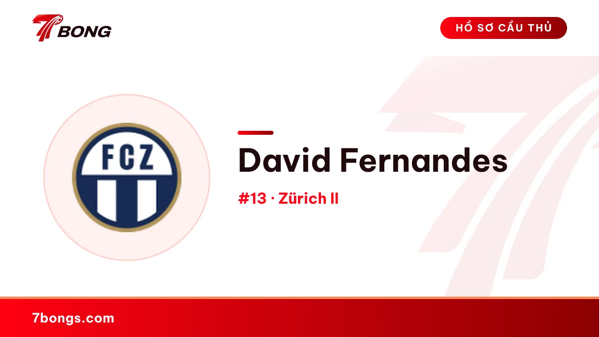 David Fernandes — Zürich II