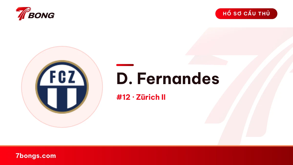 D. Fernandes — Zürich II