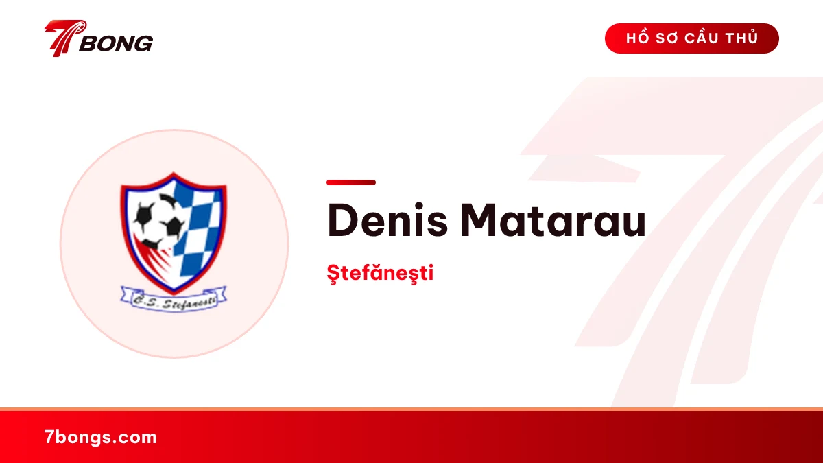 Denis Matarau — Ştefăneşti