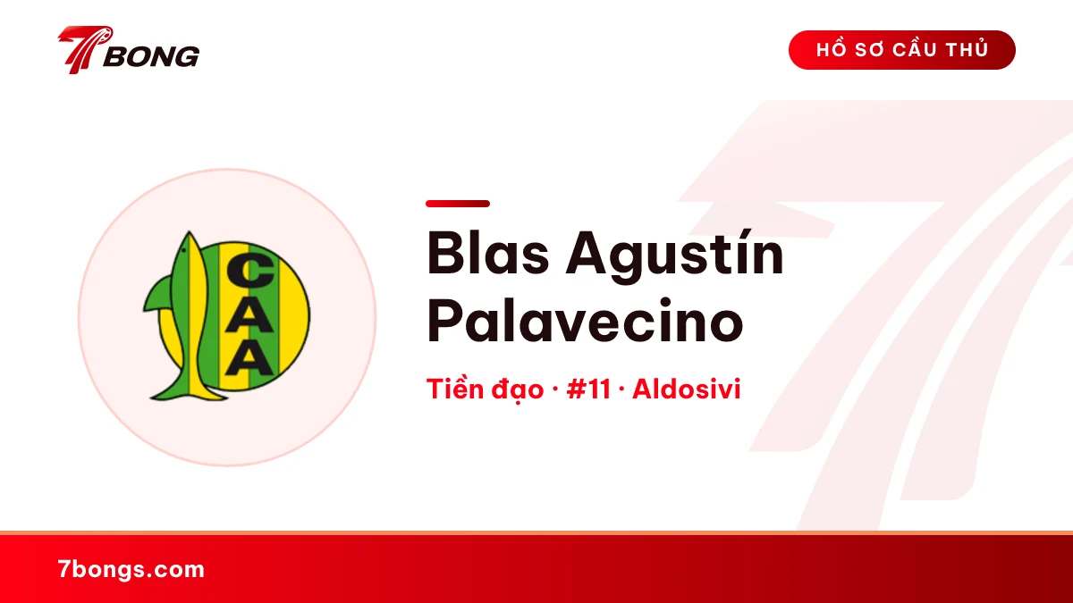 Blas Agustín Palavecino — Aldosivi