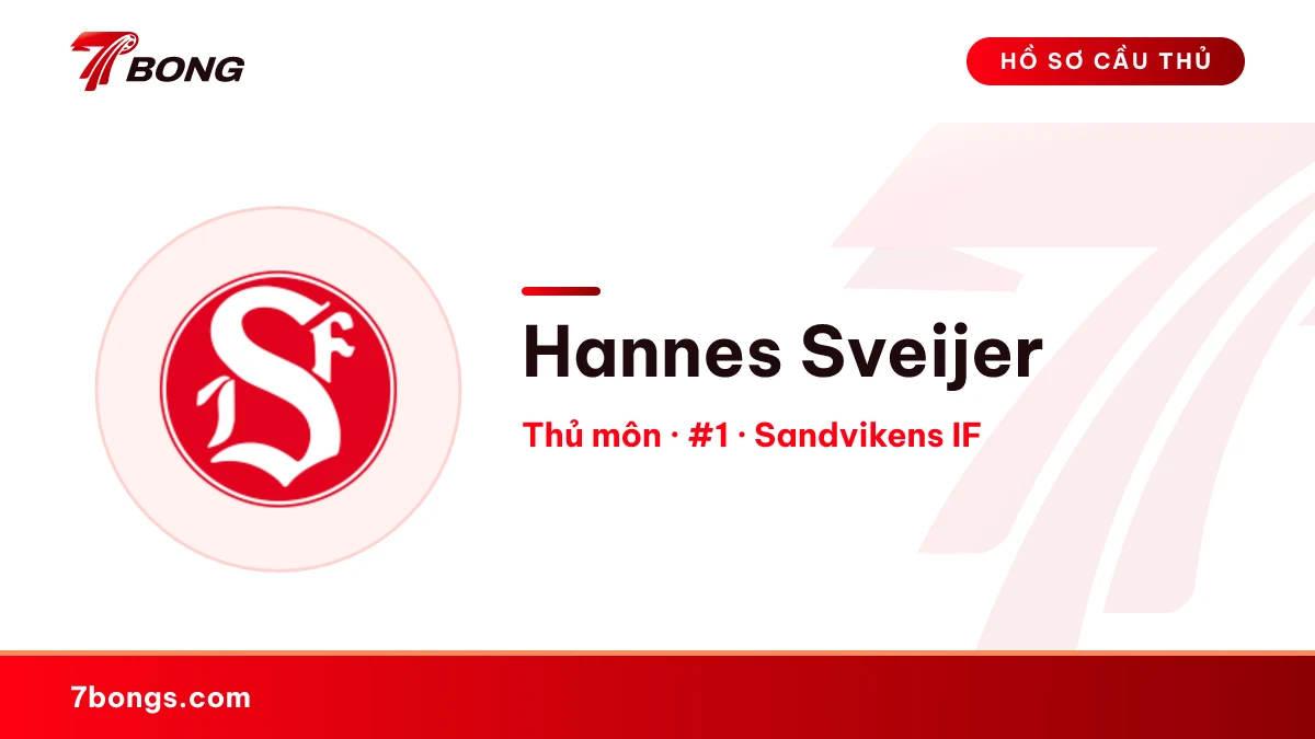 Hannes Sveijer — Sandvikens IF