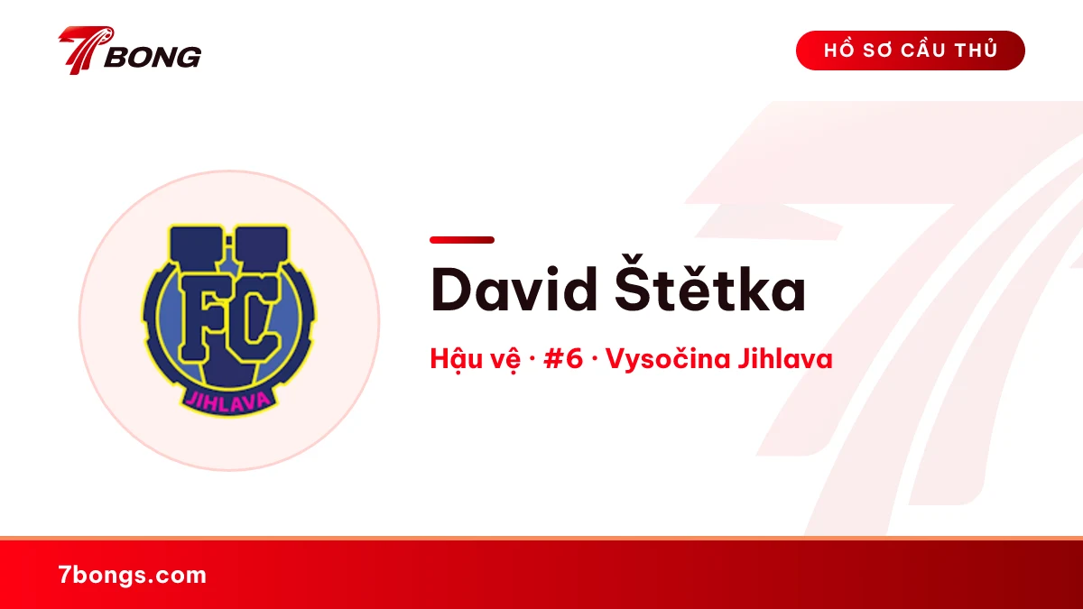 David Štětka — Vysočina Jihlava