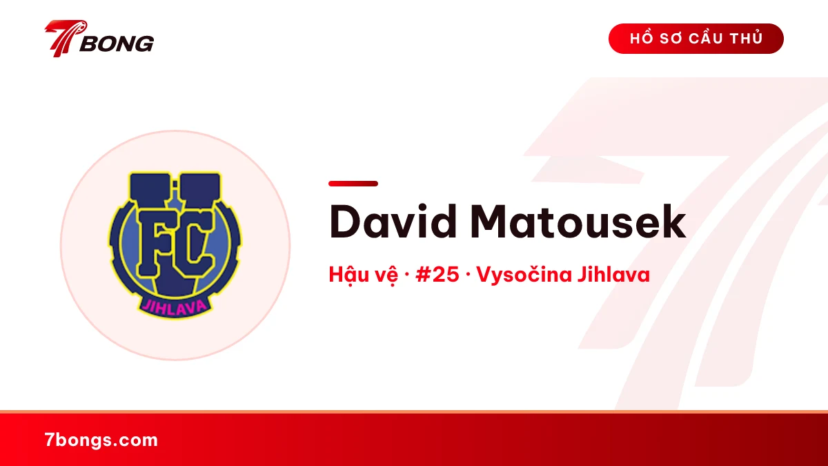 David Matousek — Vysočina Jihlava