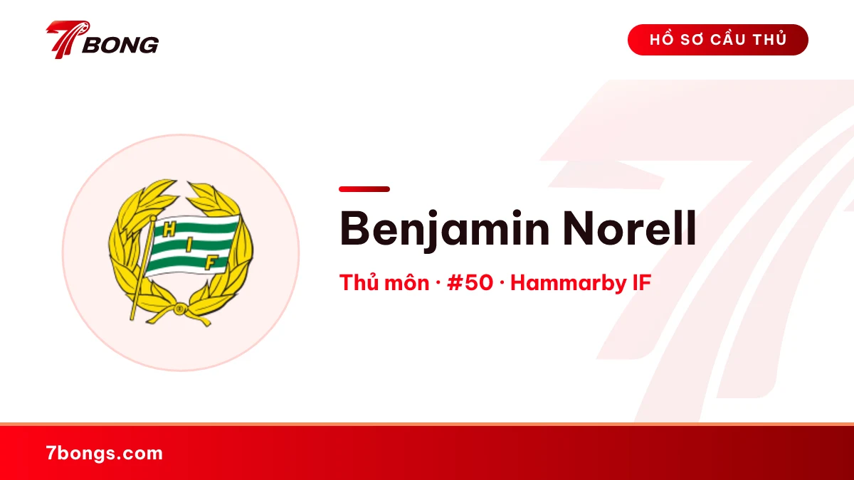 Benjamin Norell — Hammarby IF