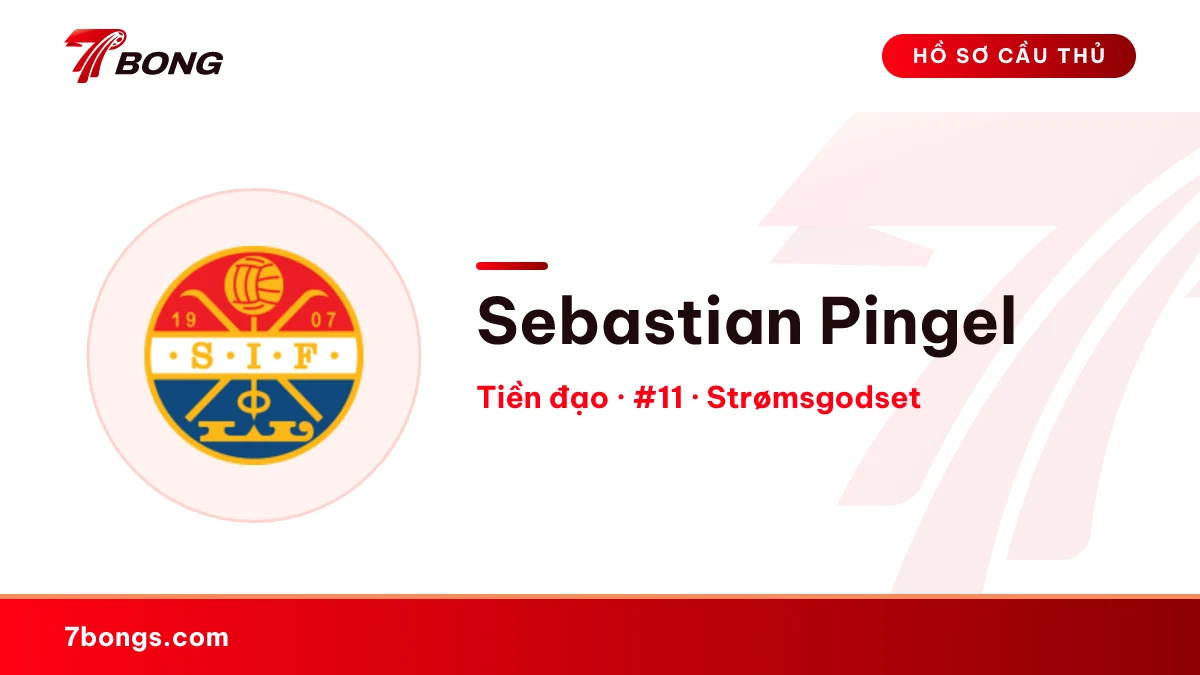 Sebastian Pingel — Strømsgodset