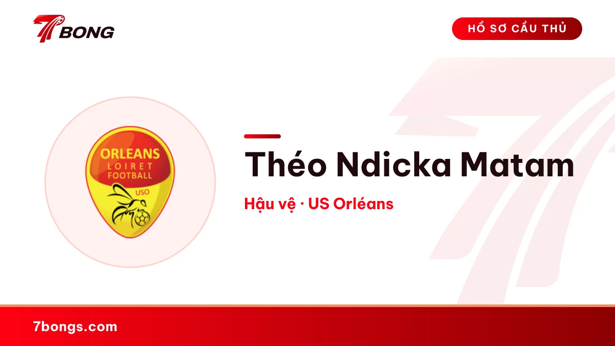 Théo Ndicka Matam — US Orléans