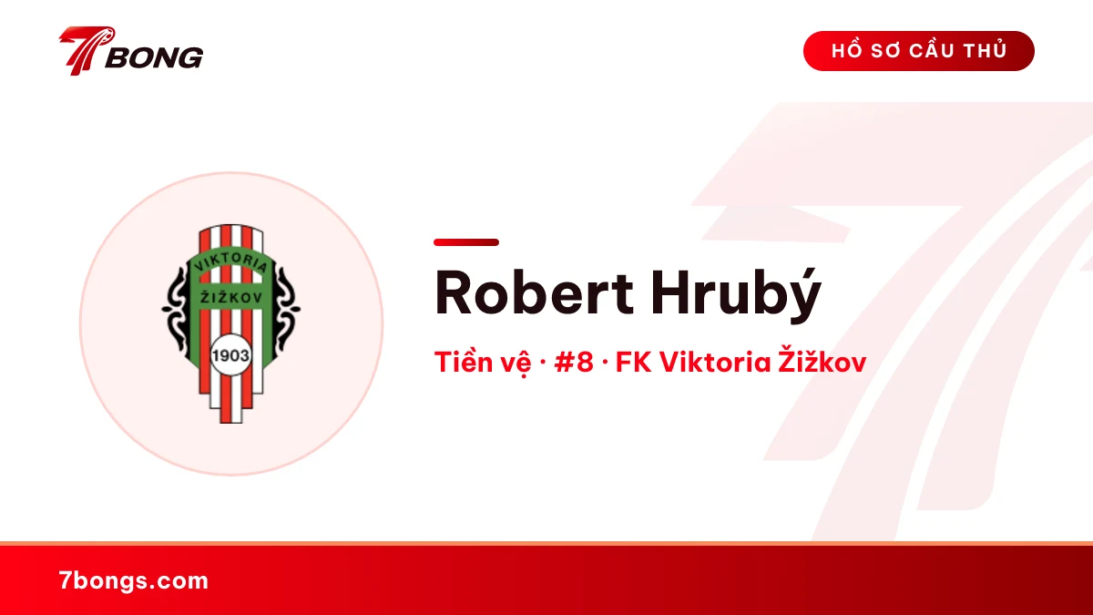 Robert Hrubý — FK Viktoria Žižkov