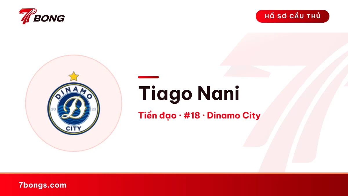 Tiago Nani — Dinamo City