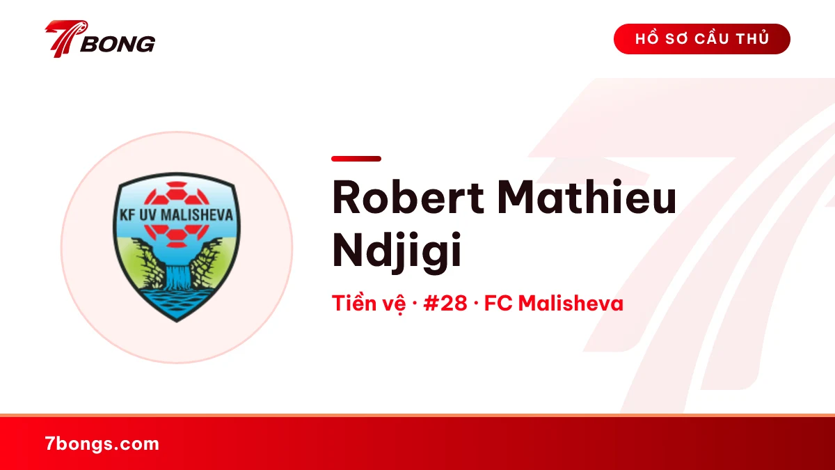 Robert Mathieu Ndjigi — FC Malisheva